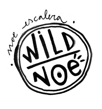logo noe